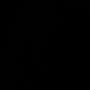 Meet your Posher, Yancy